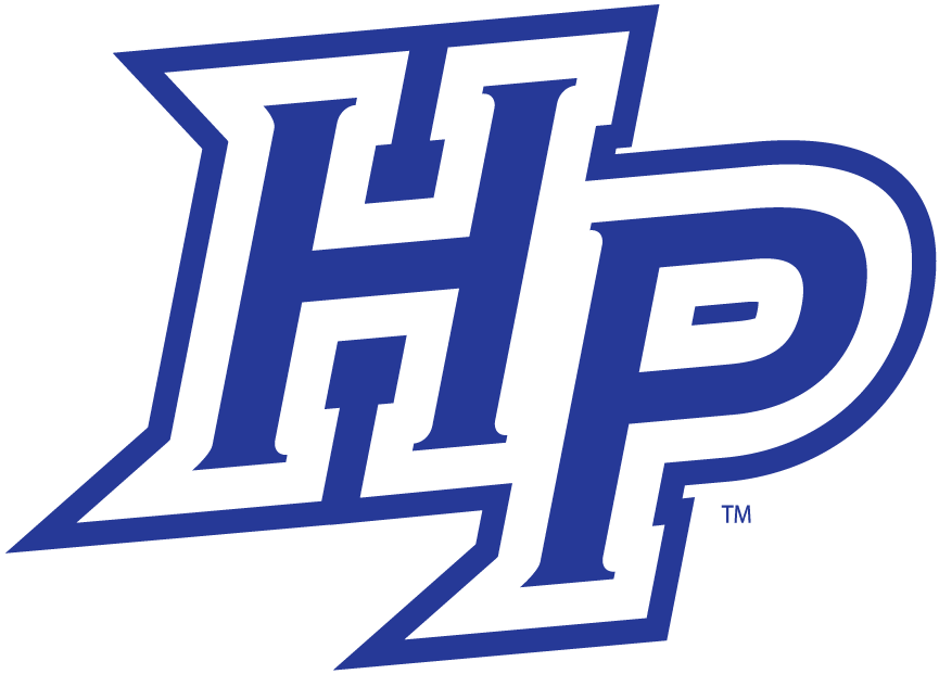 High Point Panthers 2004-2011 Alternate Logo v2 diy DTF decal sticker